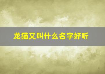 龙猫又叫什么名字好听