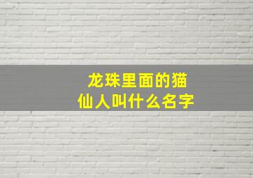 龙珠里面的猫仙人叫什么名字