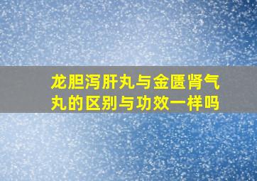 龙胆泻肝丸与金匮肾气丸的区别与功效一样吗