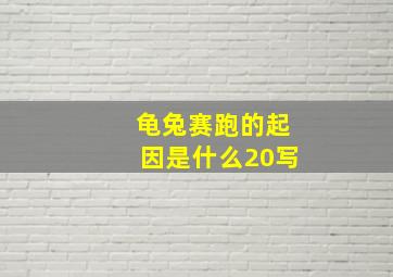 龟兔赛跑的起因是什么20写