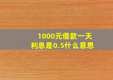 1000元借款一天利息是0.5什么意思