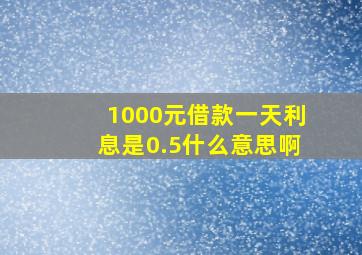 1000元借款一天利息是0.5什么意思啊