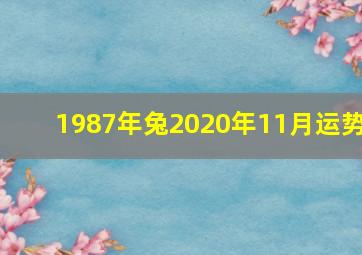 1987年兔2020年11月运势