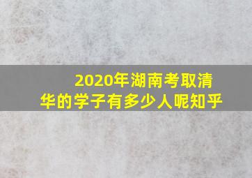 2020年湖南考取清华的学子有多少人呢知乎