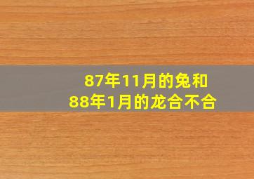 87年11月的兔和88年1月的龙合不合