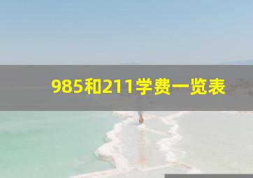 985和211学费一览表