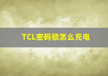 TCL密码锁怎么充电