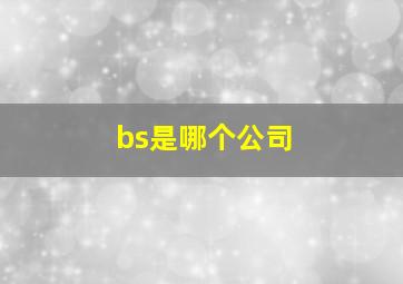 bs是哪个公司