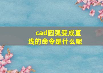 cad圆弧变成直线的命令是什么呢