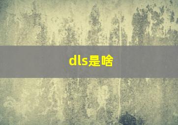 dls是啥