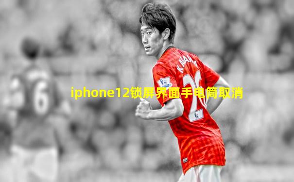 iphone12锁屏界面手电筒取消