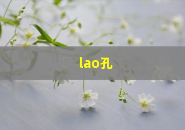 lao孔