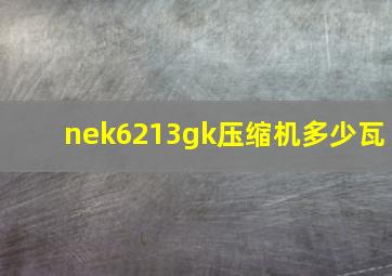 nek6213gk压缩机多少瓦