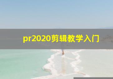 pr2020剪辑教学入门