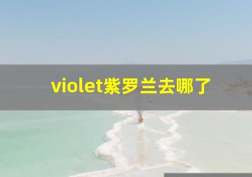 violet紫罗兰去哪了