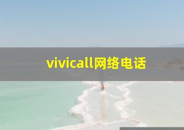 vivicall网络电话