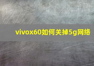 vivox60如何关掉5g网络