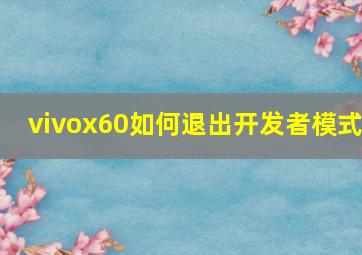 vivox60如何退出开发者模式