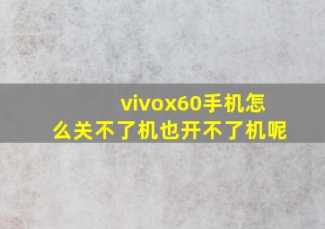 vivox60手机怎么关不了机也开不了机呢