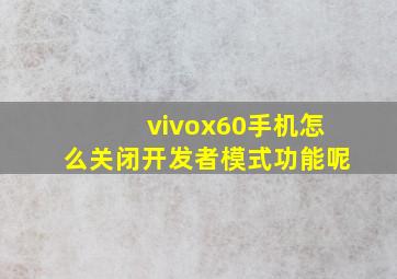 vivox60手机怎么关闭开发者模式功能呢