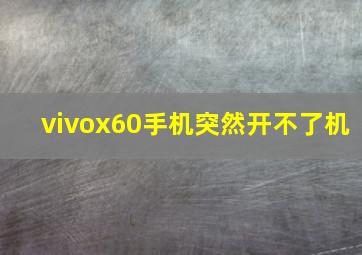 vivox60手机突然开不了机