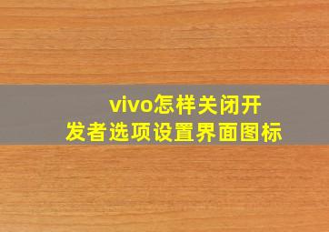 vivo怎样关闭开发者选项设置界面图标