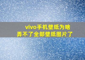 vivo手机壁纸为啥弄不了全部壁纸图片了