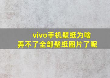 vivo手机壁纸为啥弄不了全部壁纸图片了呢