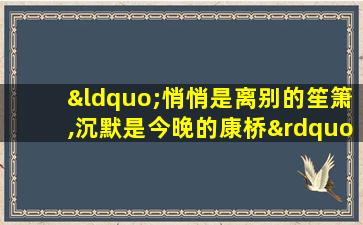 “悄悄是离别的笙箫,沉默是今晚的康桥”