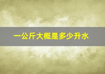 一公斤大概是多少升水