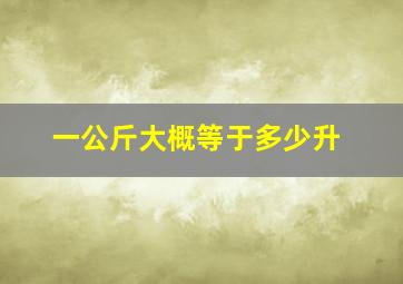 一公斤大概等于多少升