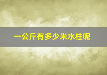 一公斤有多少米水柱呢