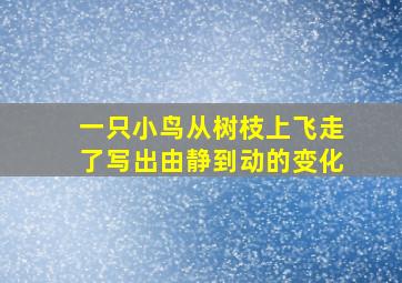 一只小鸟从树枝上飞走了写出由静到动的变化