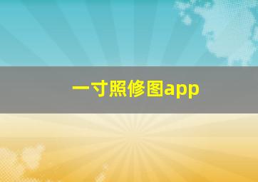 一寸照修图app