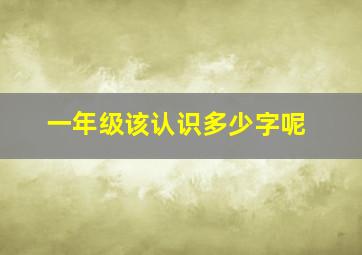 一年级该认识多少字呢