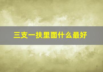 三支一扶里面什么最好