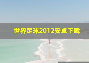 世界足球2012安卓下载