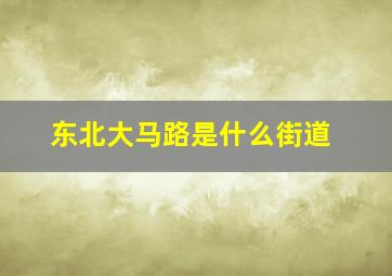 东北大马路是什么街道