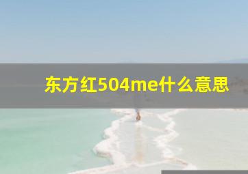 东方红504me什么意思