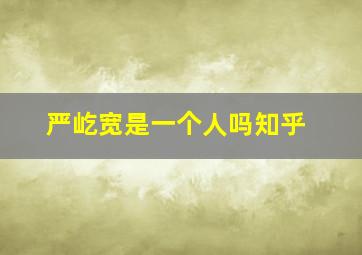 严屹宽是一个人吗知乎