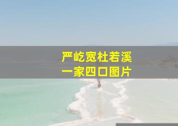 严屹宽杜若溪一家四口图片