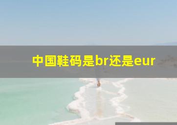 中国鞋码是br还是eur