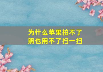 为什么苹果拍不了照也用不了扫一扫