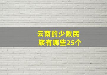 云南的少数民族有哪些25个