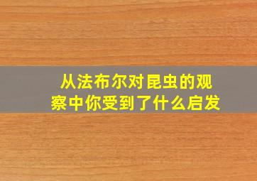 从法布尔对昆虫的观察中你受到了什么启发