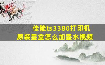 佳能ts3380打印机原装墨盒怎么加墨水视频