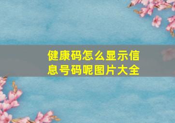 健康码怎么显示信息号码呢图片大全