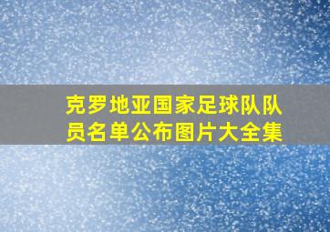 克罗地亚国家足球队队员名单公布图片大全集