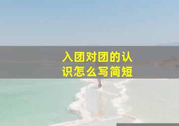 入团对团的认识怎么写简短