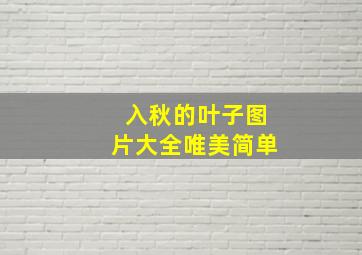 入秋的叶子图片大全唯美简单